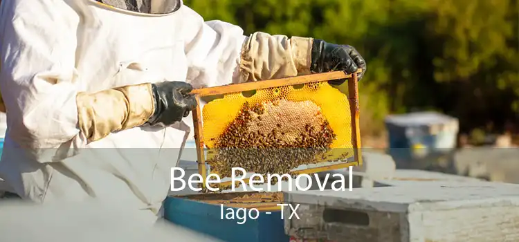 Bee Removal Iago - TX