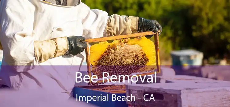  Bee Removal Imperial Beach - CA
