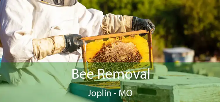  Bee Removal Joplin - MO