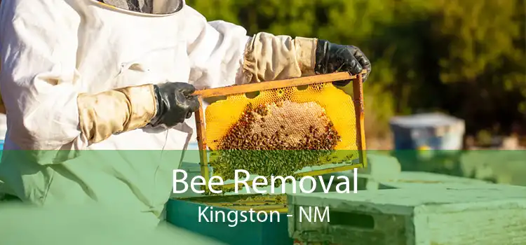 Bee Removal Kingston - NM