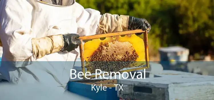 Bee Removal Kyle - TX
