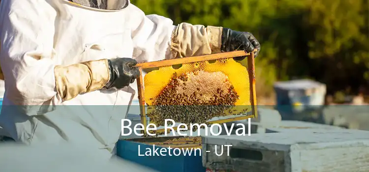 Bee Removal Laketown - UT