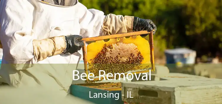  Bee Removal Lansing - IL