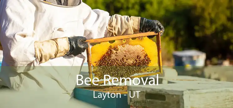 Bee Removal Layton - UT