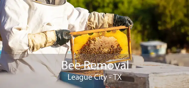 Bee Removal League City - TX