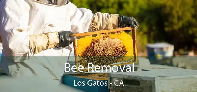  Bee Removal Los Gatos - CA