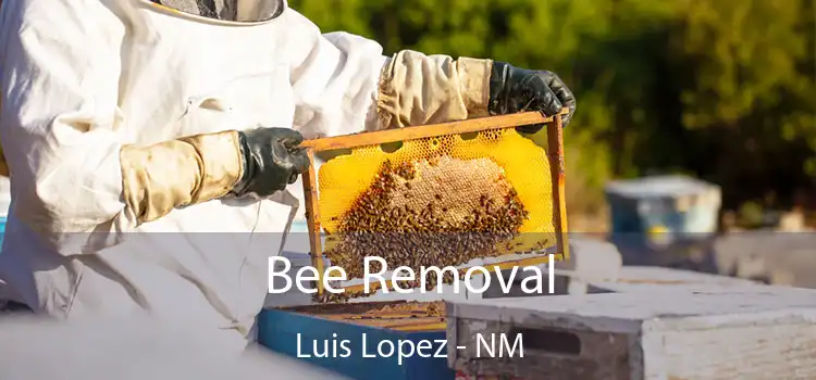  Bee Removal Luis Lopez - NM
