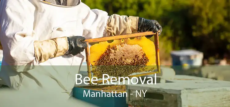 Bee Removal Manhattan - NY