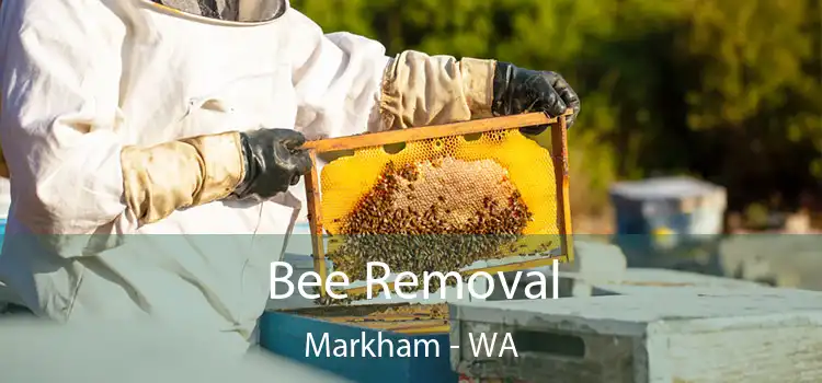  Bee Removal Markham - WA