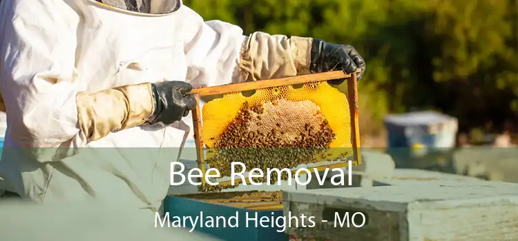 Bee Removal Maryland Heights - MO