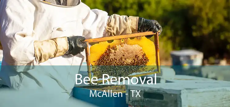 Bee Removal McAllen - TX
