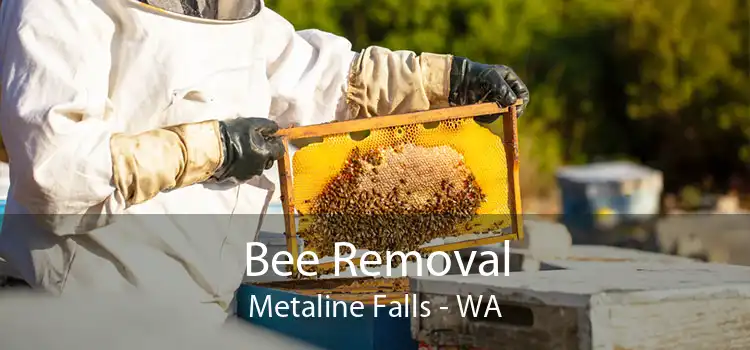 Bee Removal Metaline Falls - WA