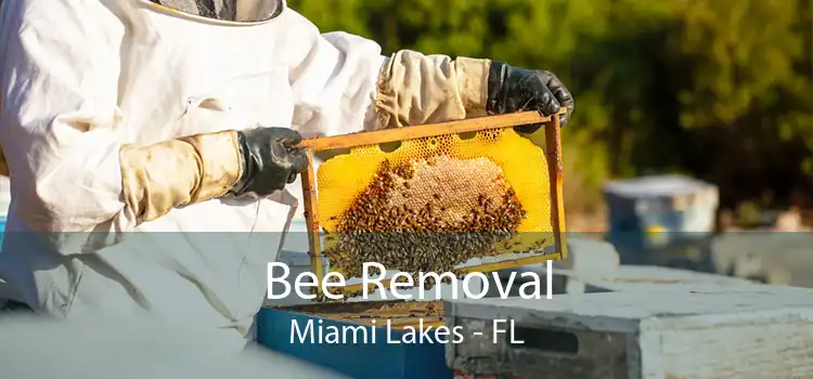 Bee Removal Miami Lakes - FL