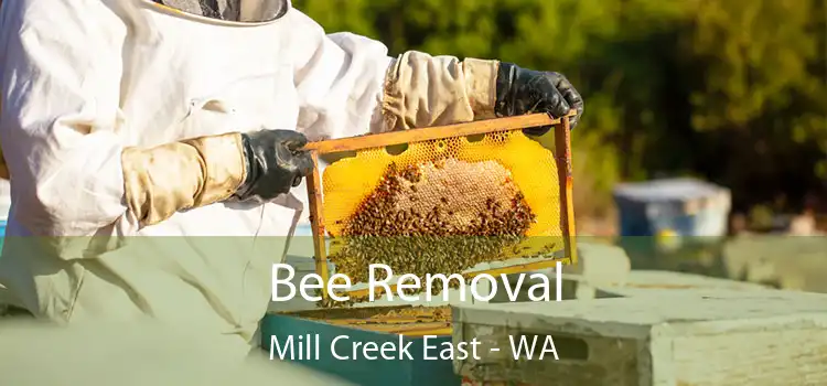 Bee Removal Mill Creek East - WA