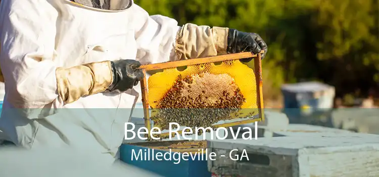 Bee Removal Milledgeville - GA