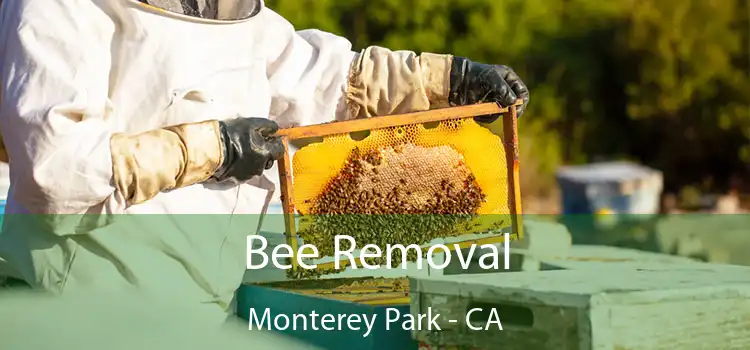  Bee Removal Monterey Park - CA