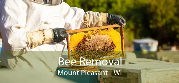 Bee Removal Mount Pleasant - WI
