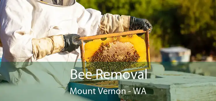 Bee Removal Mount Vernon - WA