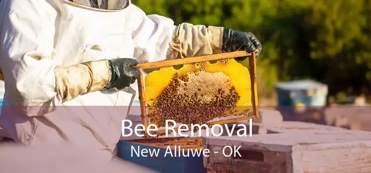 Bee Removal New Alluwe - OK