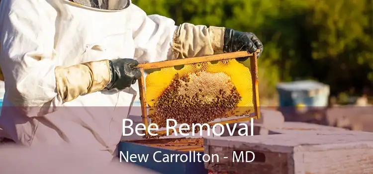 Bee Removal New Carrollton - MD