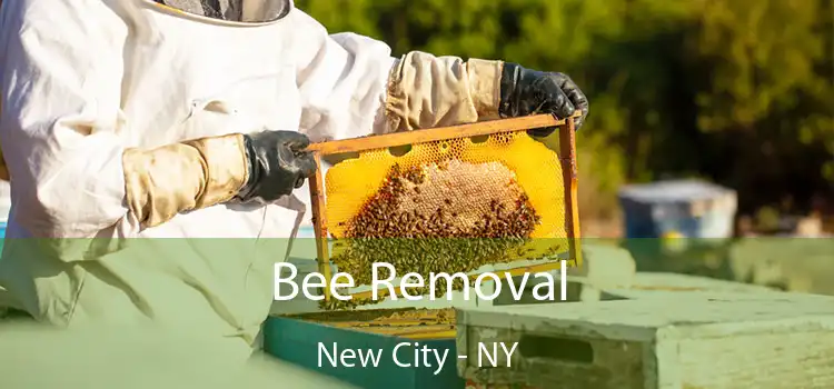  Bee Removal New City - NY