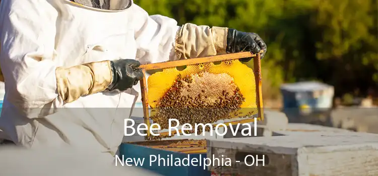  Bee Removal New Philadelphia - OH