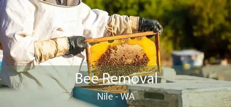 Bee Removal Nile - WA