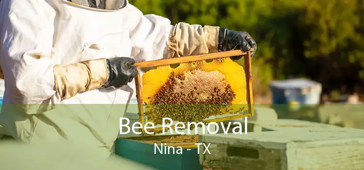 Bee Removal Nina - TX