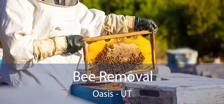  Bee Removal Oasis - UT