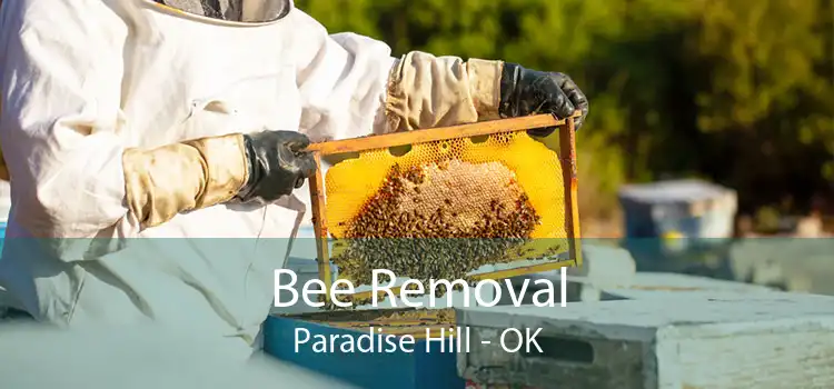 Bee Removal Paradise Hill - OK