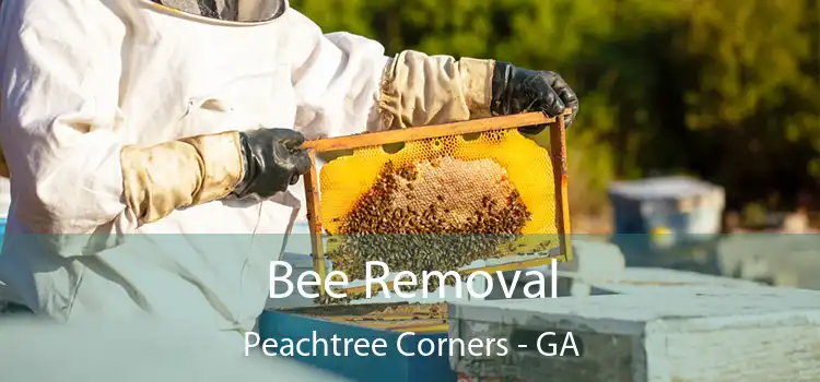  Bee Removal Peachtree Corners - GA