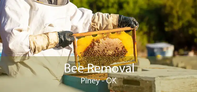 Bee Removal Piney - OK