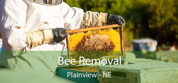  Bee Removal Plainview - NE