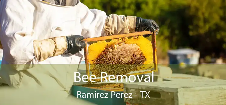  Bee Removal Ramirez Perez - TX