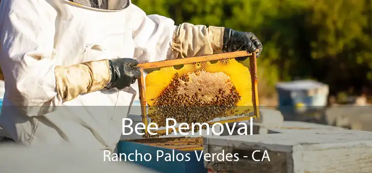  Bee Removal Rancho Palos Verdes - CA