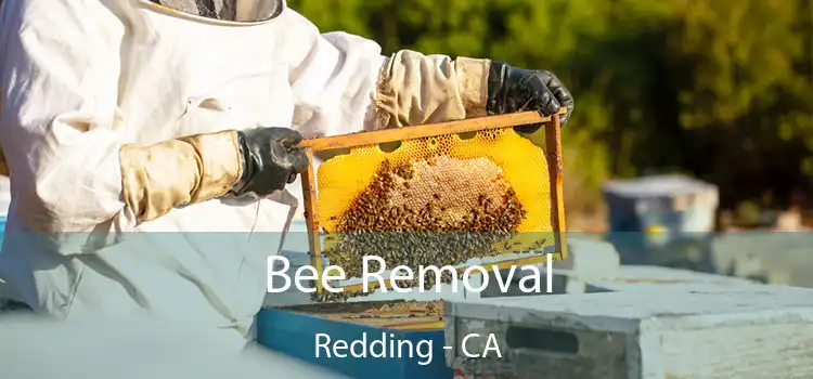  Bee Removal Redding - CA