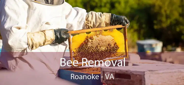  Bee Removal Roanoke - VA