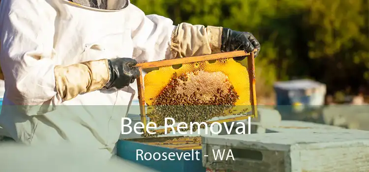 Bee Removal Roosevelt - WA