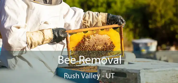  Bee Removal Rush Valley - UT