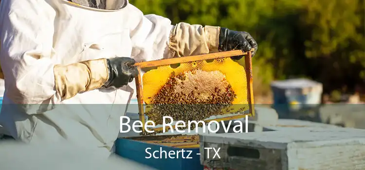  Bee Removal Schertz - TX