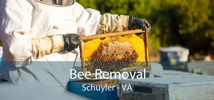 Bee Removal Schuyler - VA