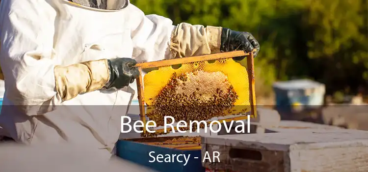  Bee Removal Searcy - AR