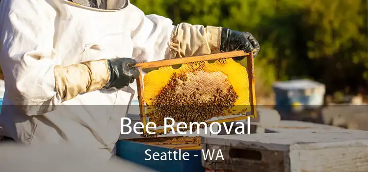  Bee Removal Seattle - WA