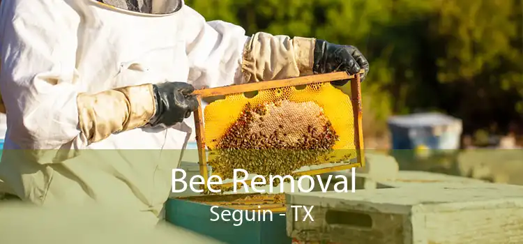 Bee Removal Seguin - TX