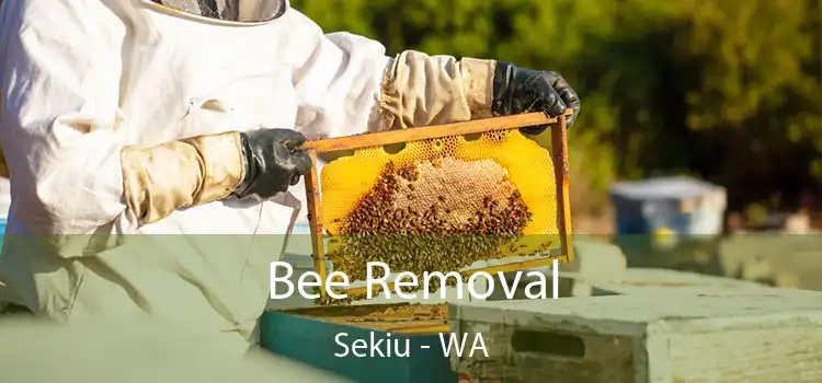 Bee Removal Sekiu - WA