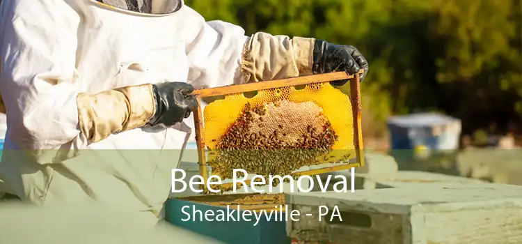 Bee Removal Sheakleyville - PA