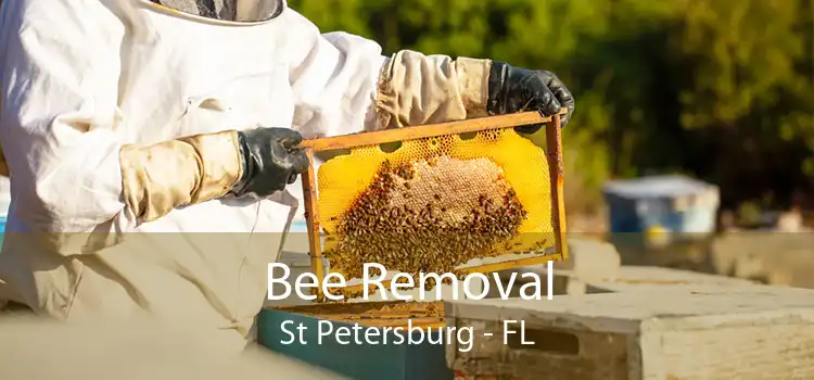 Bee Removal St Petersburg - FL