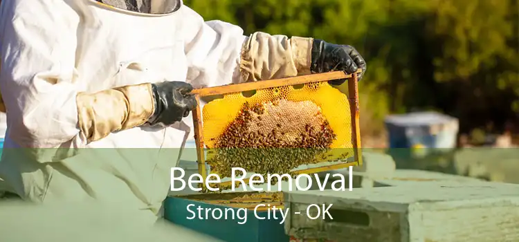Bee Removal Strong City - OK