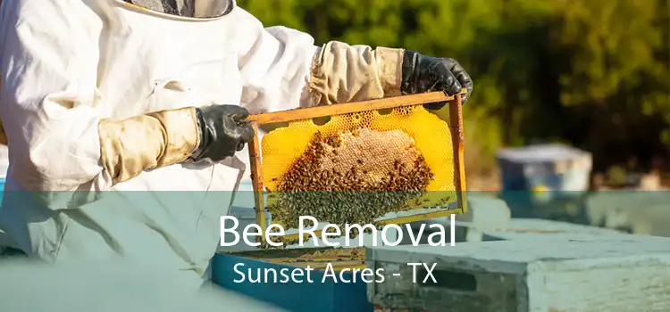 Bee Removal Sunset Acres - TX