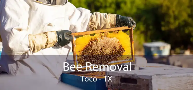 Bee Removal Toco - TX